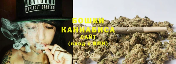 прущая мука Богданович